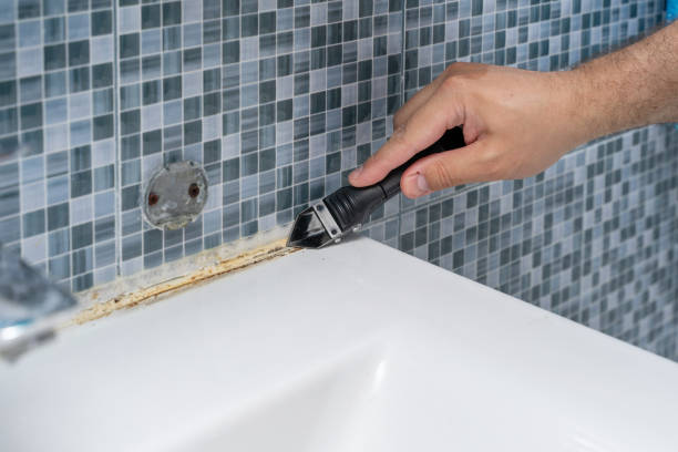Professional Mold Removal in Leesburg, GA