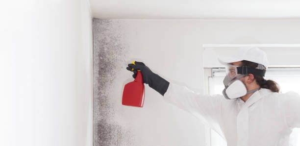 Best Residential Mold Removal  in Leesburg, GA